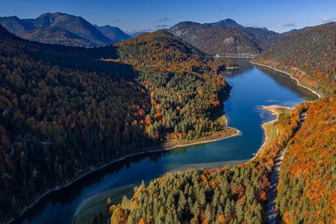 Mountain lake, mountains, sunny, morning light, autumn, autumn color, forest, aerial view,