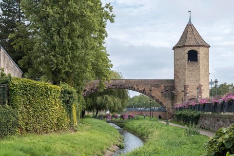 Tour des Pêcheurs, Fischertor, Haguenau, Haguenau, Bas-Rhin Department, Alsace, France