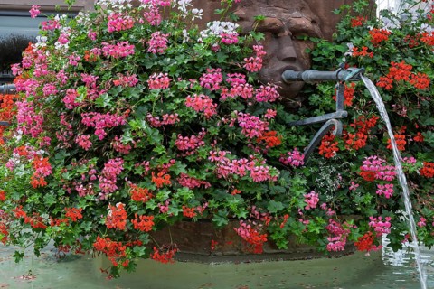 Gargoyles at Georgenbrunnen in Haguenau, Hagenau, Bas-Rhin department in the Alsace region, France