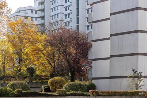 Residential complex in autumn. Colourful shrubs contrast with the dreary façade of the buildings.