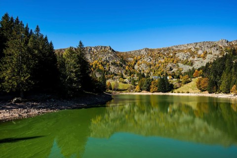 Picturesque mountain lake in autumn, Lac de Forlet, Lac des Truites, Col de la Schlucht, Vosges,