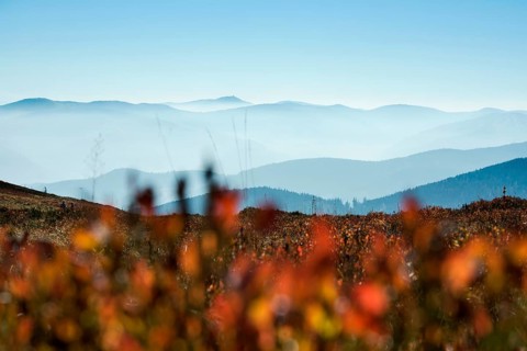 Staggered mountain ranges in haze, at Hohneck, Col de la Schlucht, Vosges, Alsace-Lorraine, Vosges