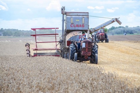 Older tractor-drawn Claas combine harvester harvesting wheat at old-fashioned harvest festival in
