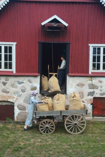 Older wagon with sacks of grain being delivered to the mill in Svenstorp, Ystad Municipality, Skåne
