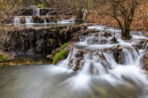 Sinterterrassen der Weißen Lauter, Bach, Water, Autumn, Donntal, Gutenberg, Swabian Jura,