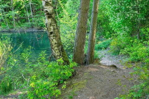 Landscape of a little lake on a sunny day in spring, Upper Palatinate, Bavaria, Germany