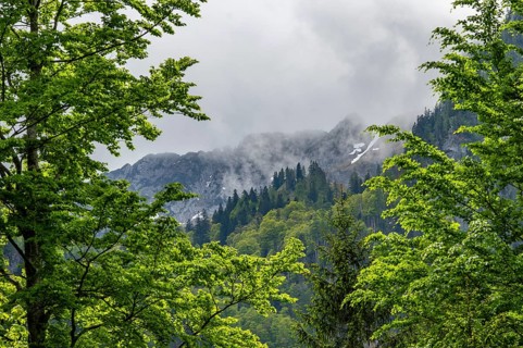 View into the mountains next to Lake Offensee on a rainy day in spring, Salzkammergut, Austria,