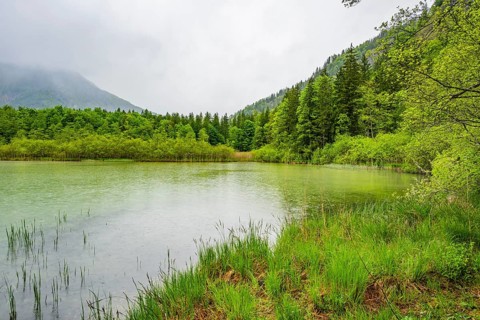 Landscape of Lake Offensee on a rainy day in spring, Salzkammergut, Austria