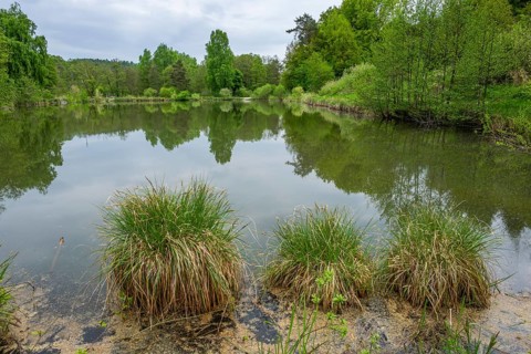 Landscape of a little lake on a cloudy day in spring, Upper Palatinate, Bavaria, Germany
