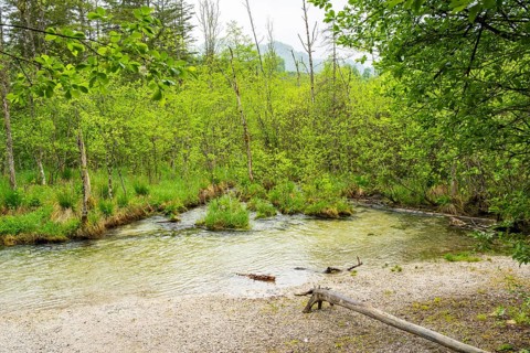 Landscape of Lake Almsee on a rainy day in spring, Salzkammergut, Austria