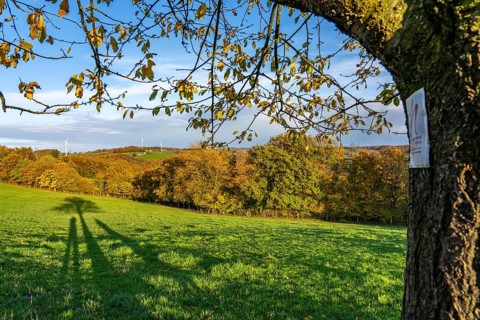 Autumn landscape in Elfringhauser Switzerland, south of Velbert-Langenberg, part of the Neanderland