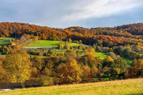 Autumn landscape in Elfringhauser Switzerland, south of Velbert-Langenberg, Germany
