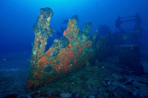 Shipwreck covered with sea sponges is dilapidated on the seabed in the blue ocean in the