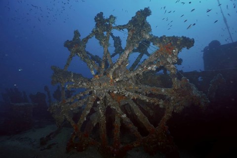 A large paddle wheel covered by sea sponges in a dark underwater setting in the Mediterranean near