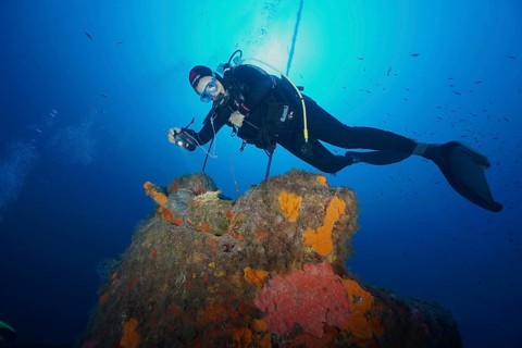 Diver examines an underwater wreck covered with sea sponges in bright blue water in the