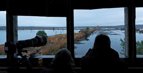 Bird watchers in the observation tower, Tister Bauernmoor, Tiste, Samtgemeinde Sittensen, Lower