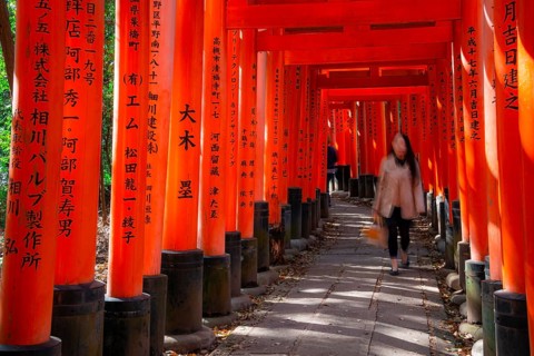 Visitors on a journey through hundreds of red traditional torii gates, Fushimi Inari-taisha, Shinto