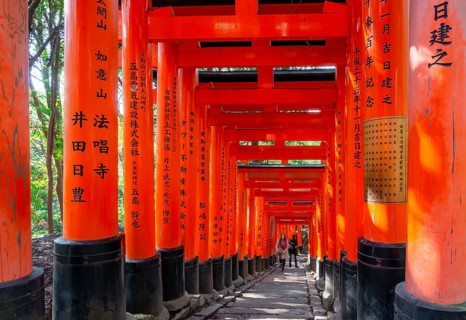 Walk through hundreds of red traditional torii gates, Fushimi Inari Taisha, Shinto Shrine, Fushimi