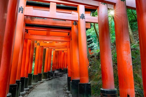 Walk through hundreds of red traditional torii gates, Fushimi Inari Taisha, Shinto Shrine, Sun