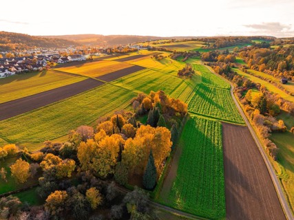 Idyllic landscape with green and golden fields in the warm light of autumn sun, Aidlingen,