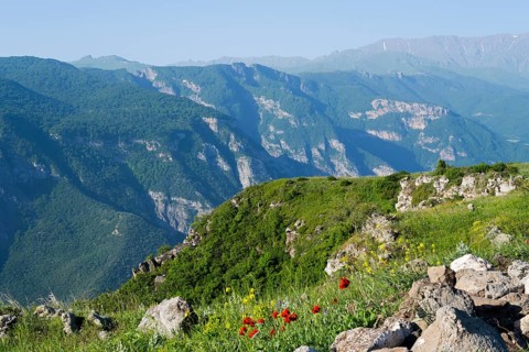 View of majestic mountains and green valleys with colorful wildflowers in the foreground, view of