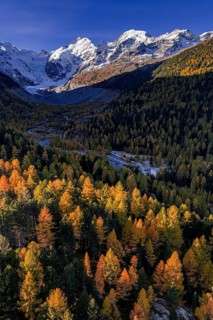 Mountain landscape, larch forest, autumn, autumn discoloration, morning light, aerial view,