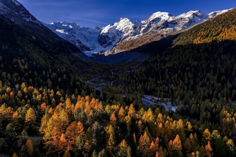 Mountain landscape, larch forest, autumn, autumn discoloration, morning light, aerial view,