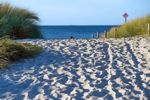 Sandweg zum Ostseestrand, Ahrenshoop, Darß, Mecklenburg-Western Pomerania, Germany