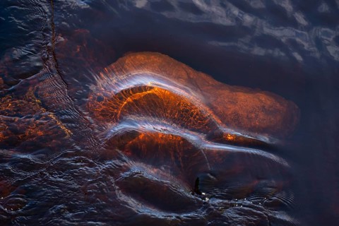 Detail, orange-brown glowing stone in a stream, forest, near Sunne, Sweden