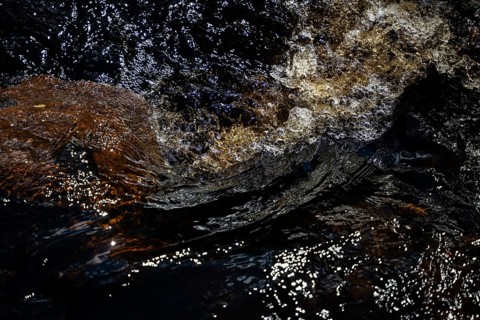Stream flow with dark water, reflections of light and turbulence, Sweden
