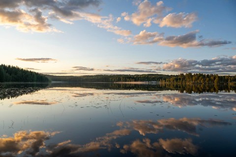 Clouds reflected on the water surface, forest lake, evening mood, at Sunne, Sweden
