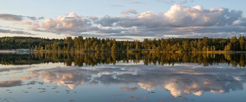 Clouds reflected on the water surface, forest lake, evening mood, panorama, near Sunne, Sweden
