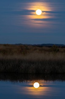 Full moon, super moon over the moor, Emsland, Lower Saxony, Germany