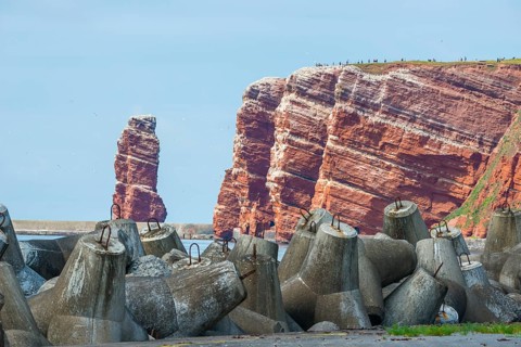 Sunny coastline with concrete tetrapods by the sea, coastal protection, protective wall, paved