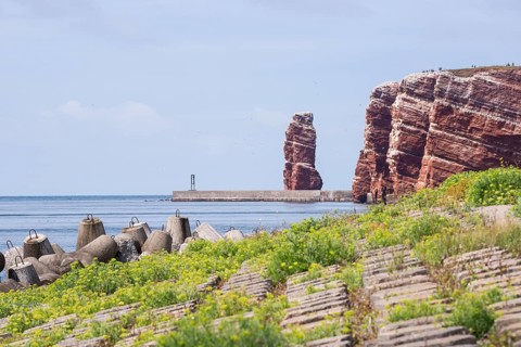 Sunny coastline with concrete tetrapods by the sea, coastal protection, protective wall, paved