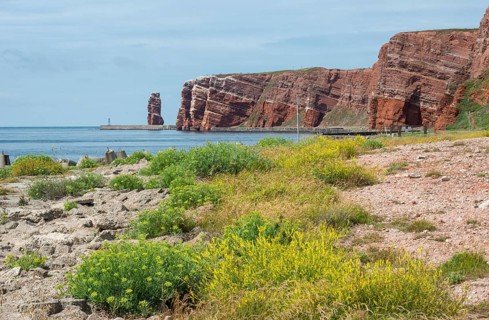 Sunny coastline with concrete tetrapods by the sea, coastal protection, protective wall, coastal
