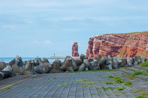 Sunny coastline with concrete tetrapods by the sea, coastal protection, protective wall, paved