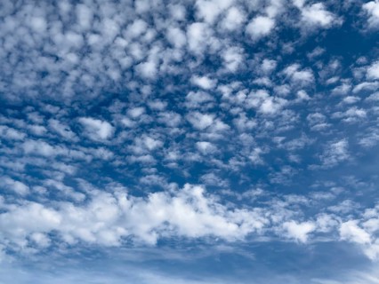 White medium-height cluster clouds above Altocumulus stratiformis below Altocumulus castellanus