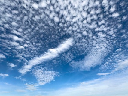 White high clouds in the upper half of the image Cirrocumulus in the center of the image, elongated