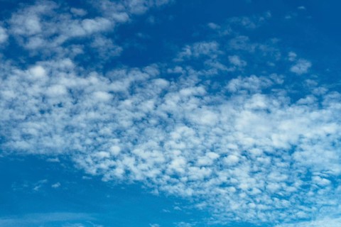 Medium-height white clouds of Altocumulus stratiformis perlucidus lacunosus against a blue sky,