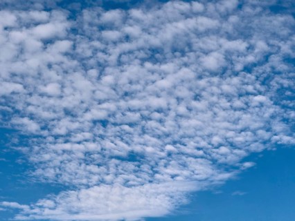 Cloud field of medium-height white clouds Altocumulus stratiformis subspecies of altocumulus clouds