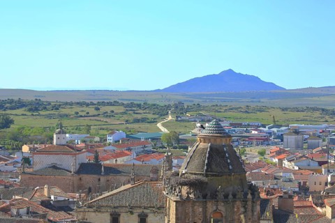 View of Torre del Alfiler tower with white stork and townscape of Trujillo, panoramic view of