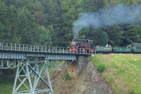 Touristic Fichtelbergbahn with steam locomotive at Hüttenbachtal viaduct, railway bridge, steam