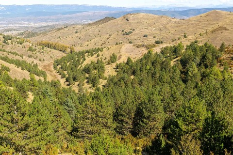 Countryside landscape view from Puerto de Sos hills south of Sos del Rey Catolico, Cinco Villas