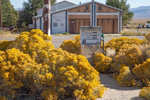 Carvers, Nevada - Rabbitbrush takes over an abandoned gas station in the Nevada desert