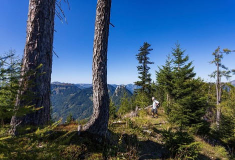 Hikers on the way to Rettenkogel, Postalm, Osterhorn Group, Salzkammergut, Province of Salzburg,