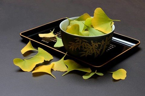 Ginkgo leaves in shell on tray, ginkgo biloba