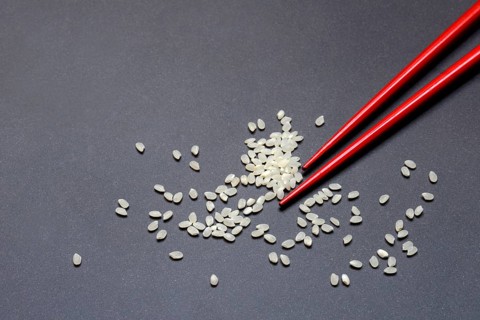 Rice and chopsticks, Oryza