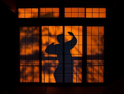 Shadows of a woman in kimono, on the balcony behind sliding shoji doors in a traditional Japanese