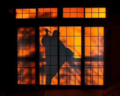 Shadow of a man, burglar with knife, assassin, ninja, on the balcony behind sliding shoji doors in